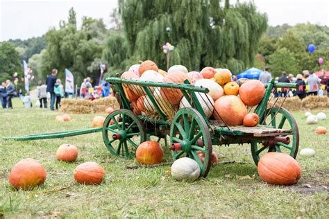 Your Guide To The Best Central Ohio Fall Festivals