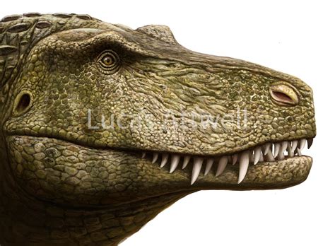 Saurosuchus by Lucas-Attwell on DeviantArt