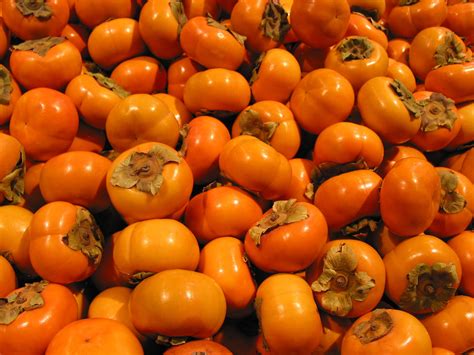 3 Tasty Persimmon Recipes: Bread, Cake, Pudding, Persimmon Facts | Persimmon fruit, Persimmons ...