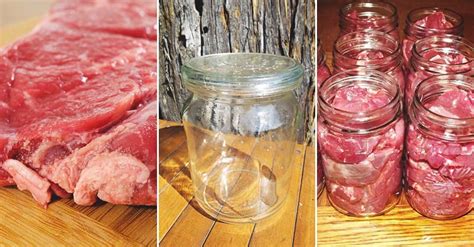 How to Go about Canning Venison: The Right Way to Preserve Deer Meat