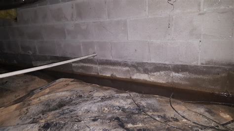 Crawl Space Repair - CleanSpace in Clarksville, TN! - Concrete