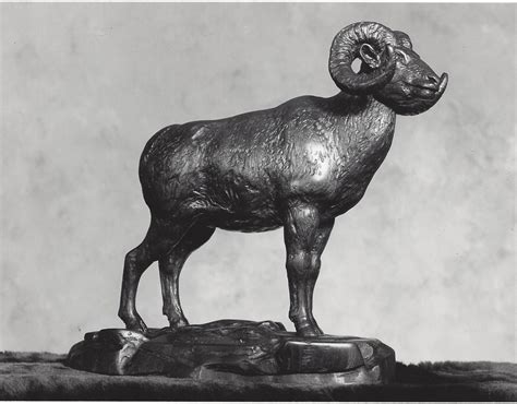 Big Horn Mountain Sheep | Pershing Geiger | Art and Gallery