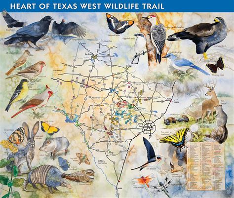 How to Purchase - Great Texas Wildlife Trails - Wildlife - Texas Parks & Wildlife Department