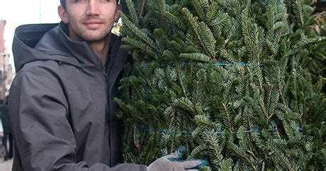 Christmas Tree Delivery NYC - Farmers Markets