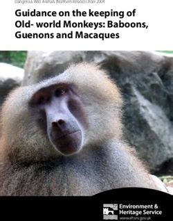 Guidance on the keeping of Old-world Monkeys: Baboons, Guenons and Macaques