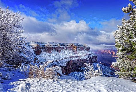 Grand Canyon in Winter Photograph by Louloua Asgaraly | Fine Art America