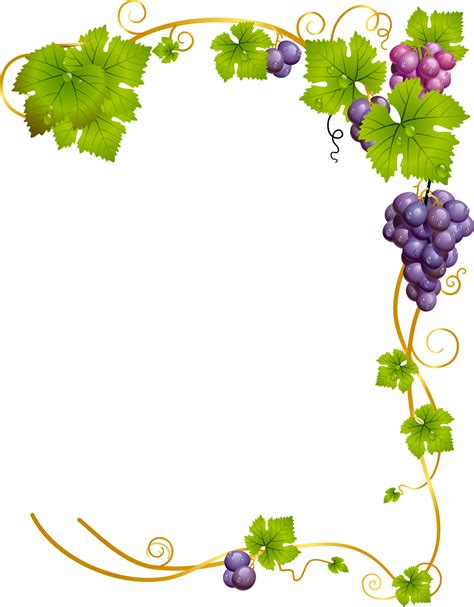 Grape Vine Border Design - Design Talk