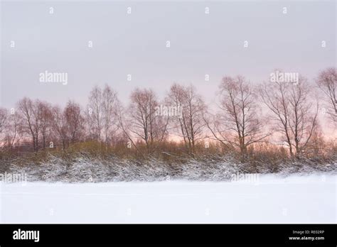 Beautiful winter snow landscape in Finland at sunset Stock Photo - Alamy