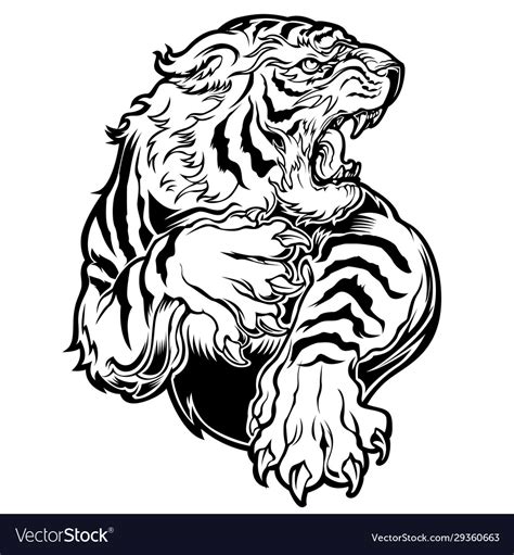 Animals angry tiger drawing Royalty Free Vector Image