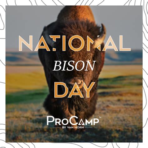 NATIONAL BISON DAY: Facts you didn't know about Bison - ProCamp by Van Horn