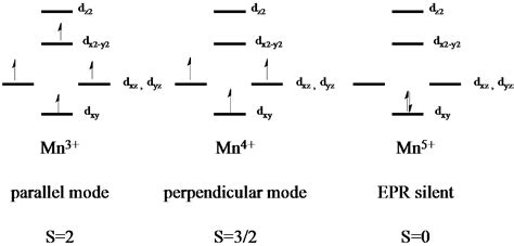 Manganese Iv Ion Electron Configuration - The ground state electron configuration for an atom of ...