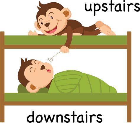 Opposite upstairs and downstairs vector illustration 3240072 Vector Art ...