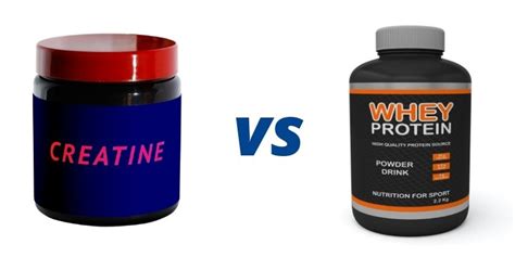 Creatine vs Protein Powder to improve your fitness progress | A Lean Life