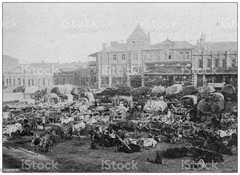 Antique Photo Johannesburg Market Square Stock Illustration - Download Image Now - History ...