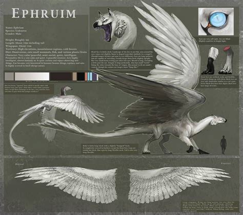 Reference - Ephruim by Allagar on DeviantArt Fantasy Creatures Art ...