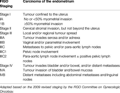 Endometrial Cancer Symptoms Staging Treatment And Causes