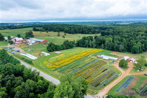 Surprising Michigan Farming and Agriculture Facts (+ Cute Cows!)