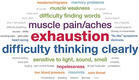 Characterization of Post–exertional Malaise in Patients With Myalgic Encephalomyelitis/Chronic ...