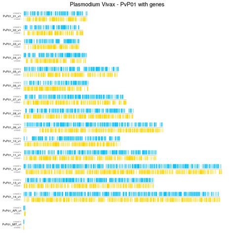 Image of example Plasmodium Vivax Genes from GFF