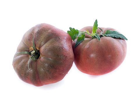 Black Krim Tomato Facts: Learn About Growing Black Krim Tomatoes