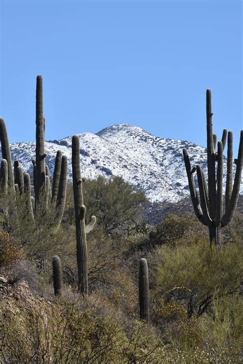 Desert Snow Photograph by Vicky Sweeney - Fine Art America