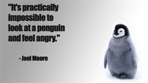 #quote, #angry, #happy, #penguins wallpaper | Penguin quotes, Penguins ...