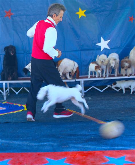 Johnny’s Dog Show | JPZ Entertainment, Inc