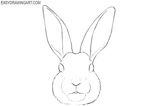 How to Draw a Bunny Face | Easy Drawing Art | Bunny sketches, Bunny ...