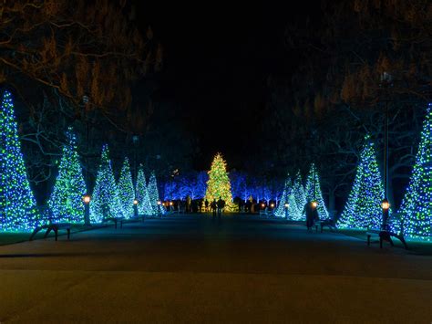 A Longwood Christmas at Longwood Gardens — Visit Philadelphia