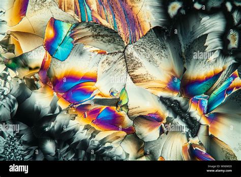 Polarized light microscopy hi-res stock photography and images - Alamy