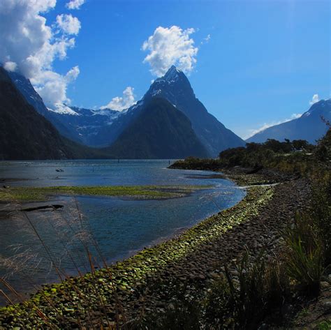 Milford Sound New Zealand | Milford sound, Places to visit, Milford