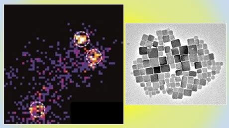 Single-particle spectroscopy of CsPbBr3 perovskite nanocrystals reveals the origin low ...