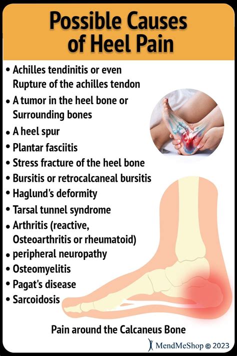 Heel pain is one of the most common causes of lower back pain. It can ...