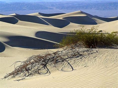 Sand dunes desert copyright friendly picture | Oregon dunes, Oregon travel, Oregon waterfalls