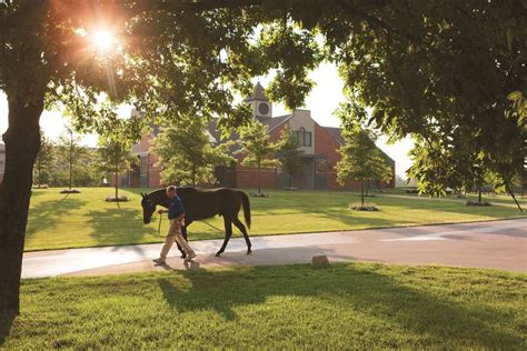 The 6 Best Horse Farm Tours in Lexington, Kentucky