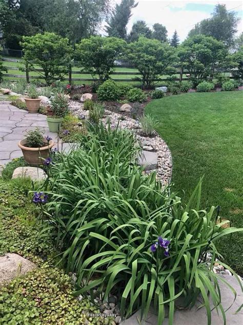 21 Best Front Yard Drainage Ditch Landscaping Ideas To Redirect Rain Water | Decor Home Ideas