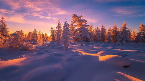 Winter landscape with forest, clouds, snow, trees, Yakutia, Russia | Windows Spotlight Images