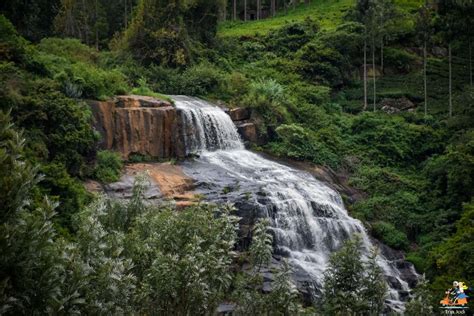 Uyilatti Falls - an unexplored Waterfalls in Kotagiri, Nilgiris - Tripoto