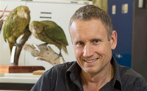 Ornithologist Colin Miskelly walking the length of Aotearoa | RNZ