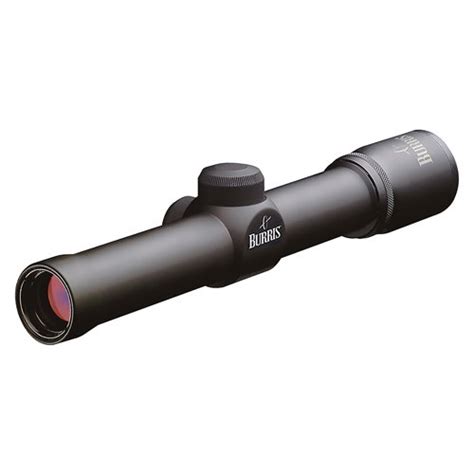 9 Best Scout Rifle Scopes Reviews & Buying Guide in 2021 - OpticsGuides