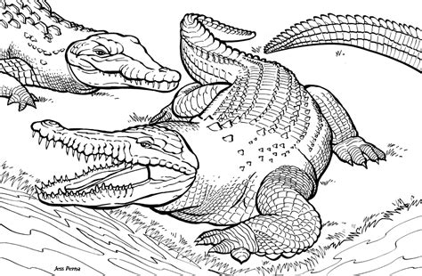 alligator coloring pages free printable - Enjoy Coloring | Projects to Try | Pinterest ...