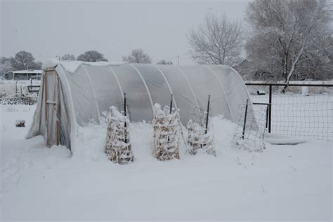 Rob's Vegetable Garden Blog: Wintertime Hoop House Gardening/Give Peas a Chance