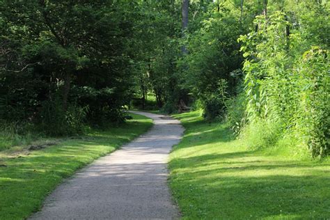 Free Images : tree, nature, forest, path, grass, lawn, meadow, green, park, garden, trees ...