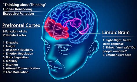 Understanding the Mind of a Covert Narcissist - Navigating Religious Narcissism