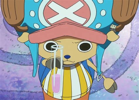 Chopper One Piece Time Skip