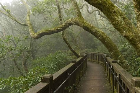 Hiking the Erziping Trail in Yangmingshan National Park, Taipei, Taiwan