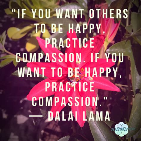 #compassion #practice #happiness #quote #caregiving #dalailama | Want to be happy, Aging quotes ...