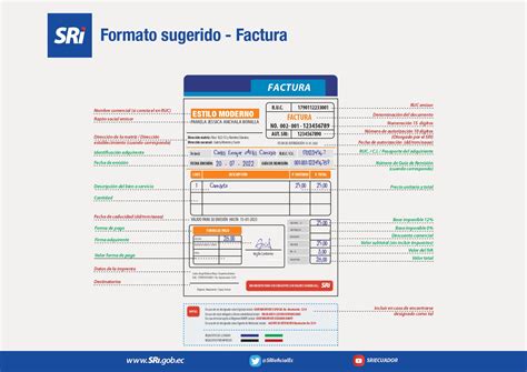 sentido común compromiso polvo cuales son las partes de una factura nariz Favor aislamiento