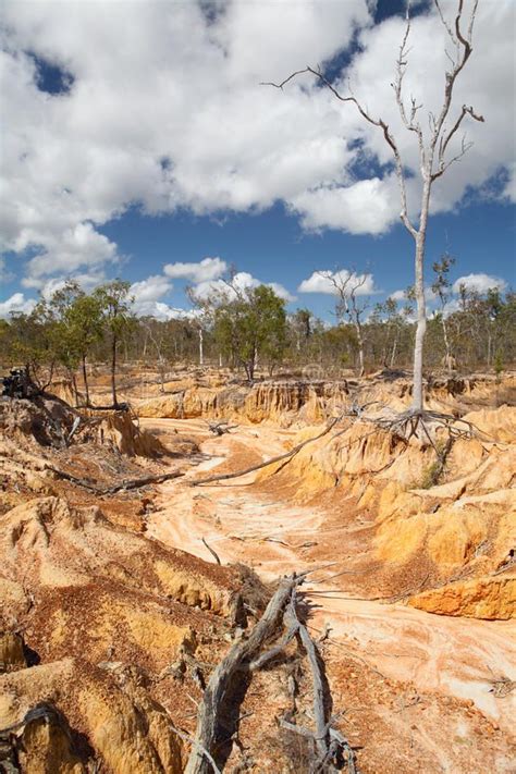 Soil erosion by overgrazing desertification. Soil erosion due to overgrazing lea , #SPONSORED, # ...