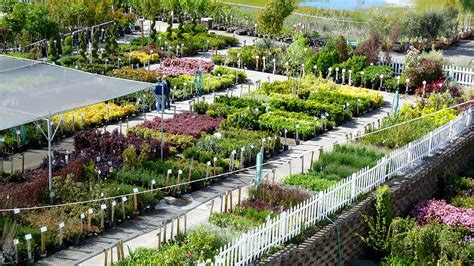 Green Acres Nursery & Supply Locations | Garden nursery, Garden pictures, Garden landscaping